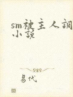 sm被主人调教小说