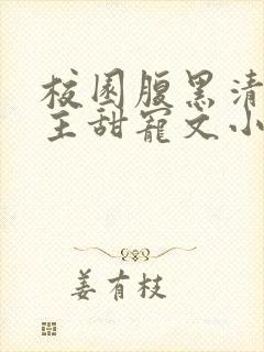 校园腹黑清冷男主甜宠文小说