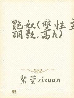艳奴(双性主奴调教,高h)封面