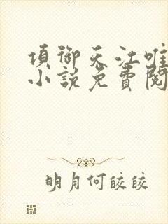 项御天江唯一的小说免费阅读