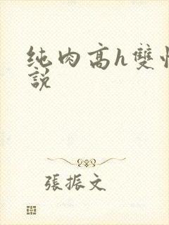 纯肉高h双性小说封面