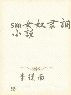 sm女奴隶调教小说封面