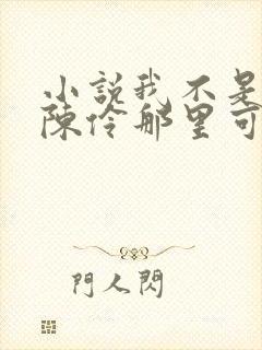 小说我不是戏神陈伶那里可以看