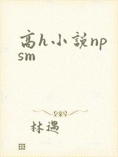 高h小说np sm
