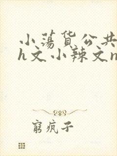 小荡货公共场所h文小辣文np