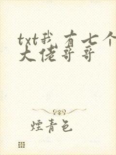txt我有七个大佬哥哥