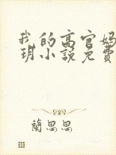 我的高官妈妈苏玥小说免费阅读最新