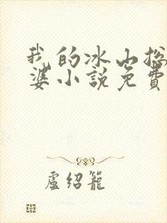 我的冰山总裁老婆小说免费阅读