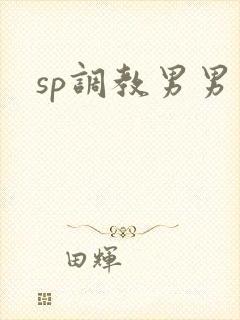 sp调教男男文封面