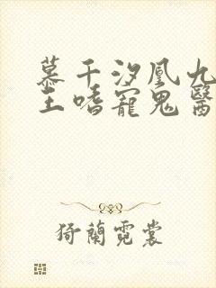 慕千汐凰九夜邪王嗜宠鬼医狂妃免费阅读