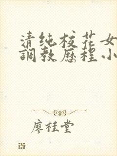 清纯校花女友的调教历程小说