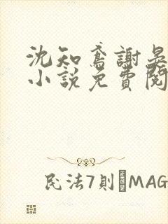 沈知鸢谢晏时的小说免费阅读