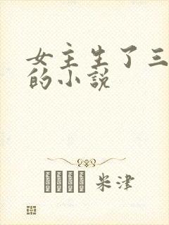 女主生了三胞胎的小说