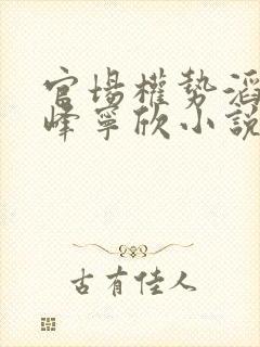 官场权势滔天林峰宁欣小说