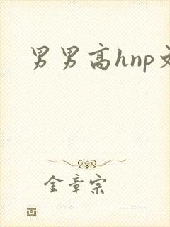 男男高hnp文