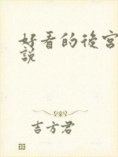 好看的后宫文小说封面