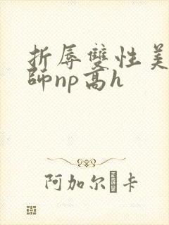 折辱双性美人军师np高h