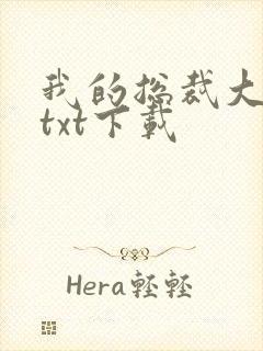 我的总裁大老婆txt下载