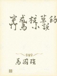 穿成校草的炮灰竹马 小说