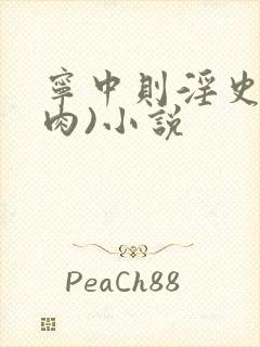 宁中则淫史(全肉)小说封面