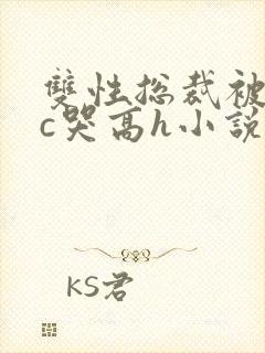 双性总裁被警察c哭高h小说