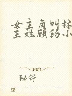 女主角叫林微男主姓顾的小说封面