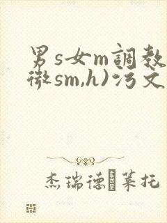 男s女m调教(微sm,h)污文