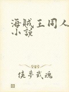 海贼王同人艾斯小说封面