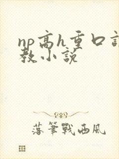 np高h重口调教小说