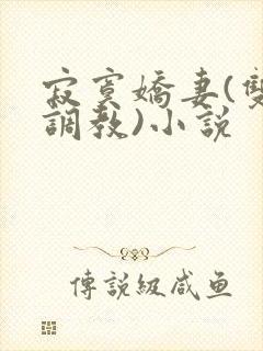 寂寞娇妻(双性调教)小说