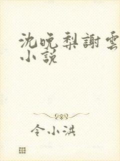 沈晚梨谢云迟 小说