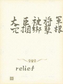 大臣被将军插后穴捆绑孽根腐文