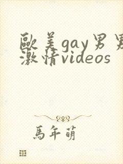 欧美gay男男激情videos封面
