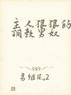 主人狠狠的惩罚调教男奴封面