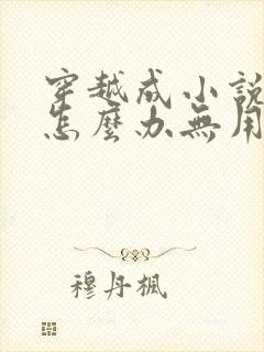 穿越成小说反派怎么办无用