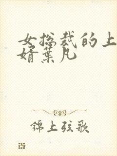 女总裁的上门赘婿叶凡