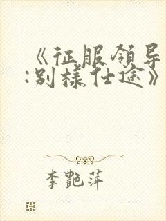 《征服领导夫人:别样仕途》