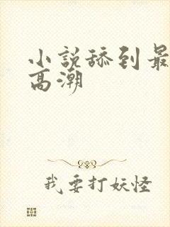 小说舔到最后了高潮封面