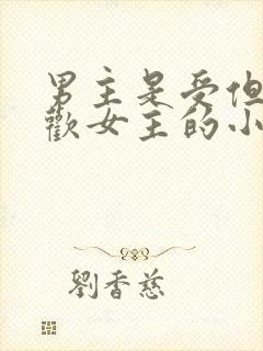 男主是受但是喜欢女主的小说