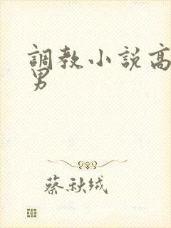 调教小说高h男男封面