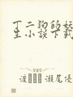 丁二狗的妖孽人生小说下载