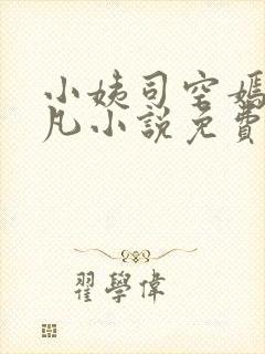 小姨司空嫣然叶凡小说免费阅读全文