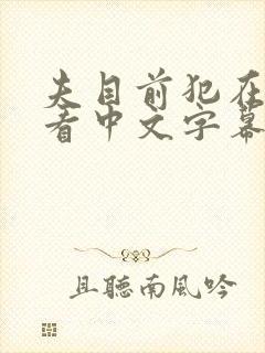 夫目前犯在线观看中文字幕