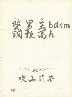 双男主bdsm调教高h