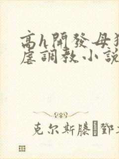 高h开发母狗乳虐调教小说在线阅读