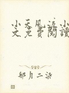 小天风流小说全文免费阅读无弹窗下