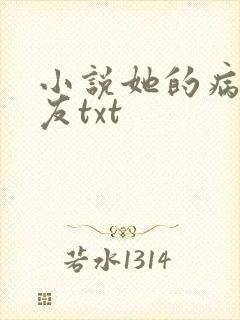 小说她的病娇男友txt封面