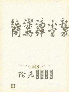 纯洁滴小龙笔趣阁无弹窗最新章节阅