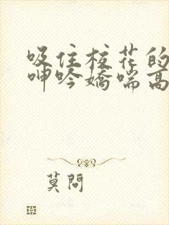 吸住校花的奶头呻吟娇喘高潮