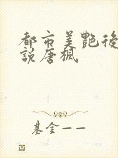 都市美艳后宫小说唐枫